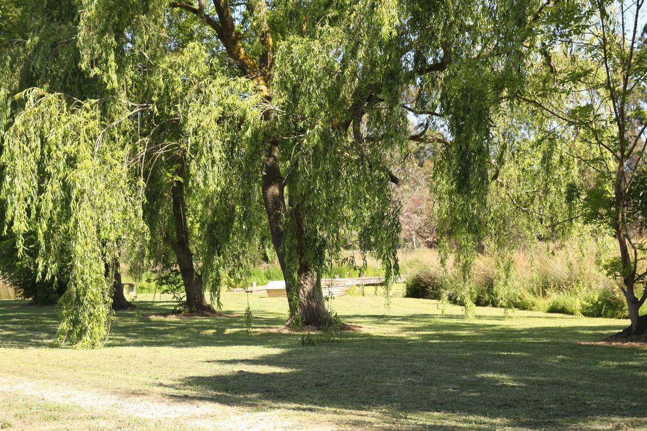 Little Lake Cottage Nyora Chambre photo